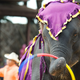 Image for article titled Los Angeles Bans Bullhooks and Other Devices Used to Control Elephants